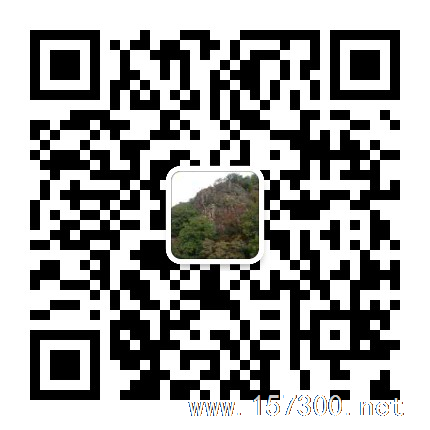 長(zhǎng)年代寫法律文書、提供法律咨詢