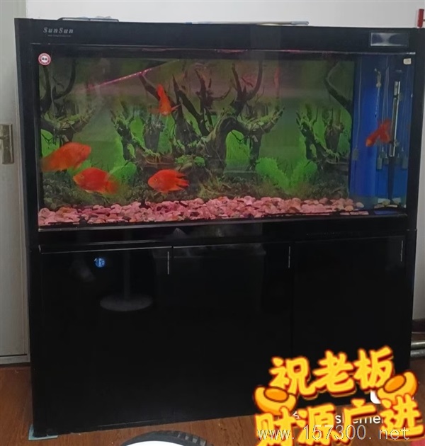 高級(jí)魚缸  低價(jià)出售