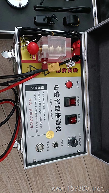 專業(yè)儀器檢測(cè):電路、水路故障