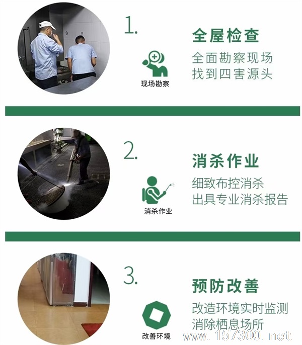 專業(yè)除蟲滅蟑滅鼠
