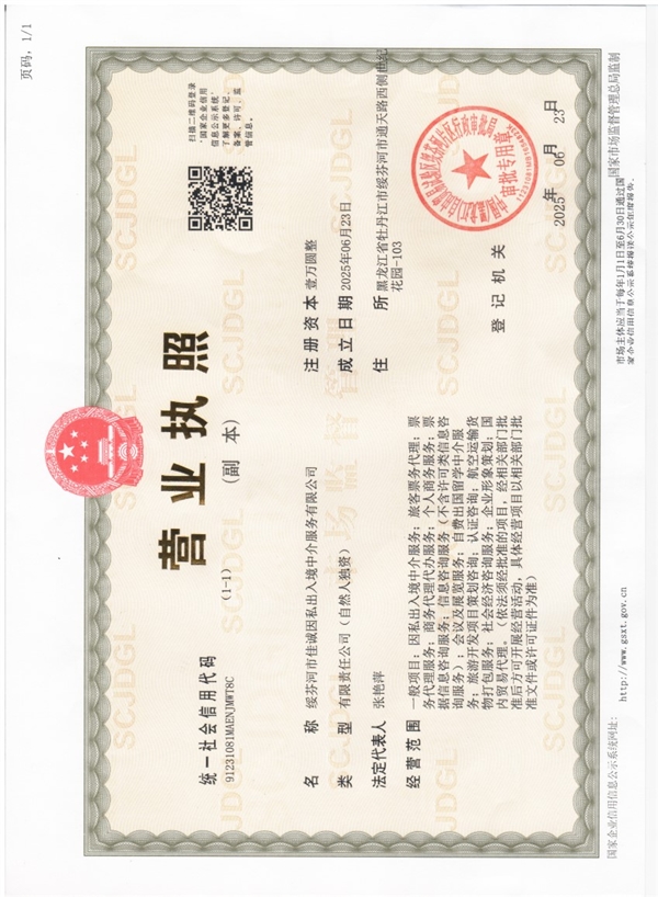 綏芬河市佳誠(chéng)因私出入境中介服務(wù)公司的圖標(biāo)